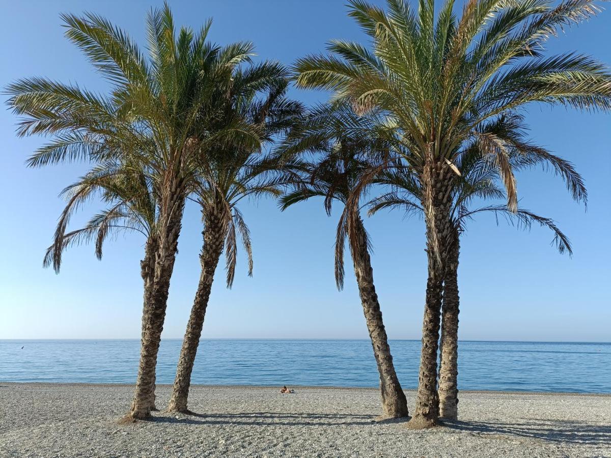 Apartamento Maravilla Tropical - La Herradura Almuñécar エクステリア 写真